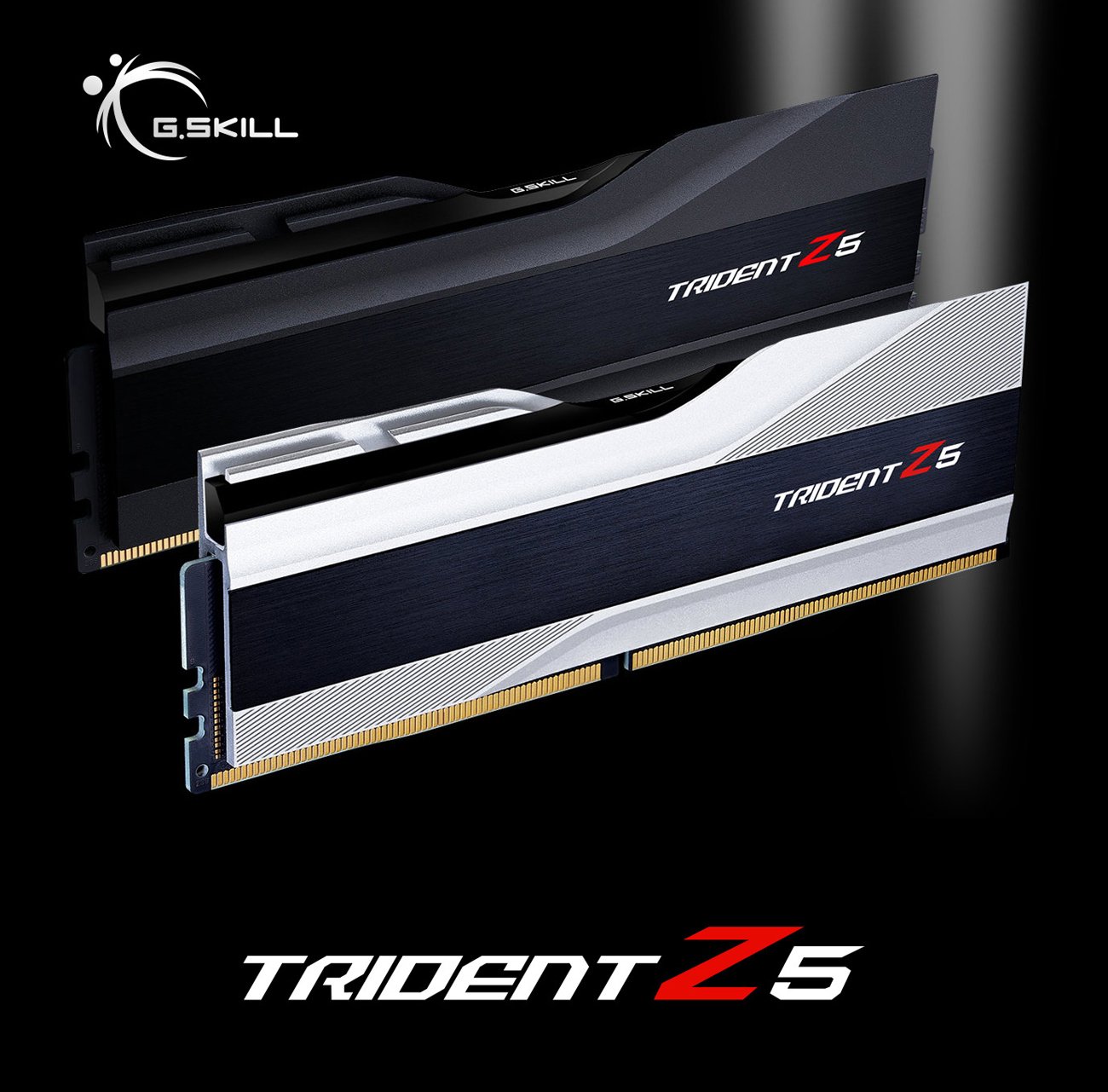 G.SKILL Trident Z5 Series 32GB (2 x 16GB) 288-Pin PC RAM DDR5 6000